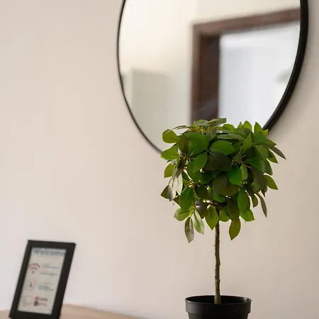 Appartement F3 Modern And Bright In Malta *